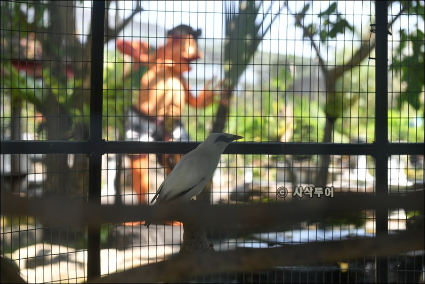 발리나비공원021.JPG