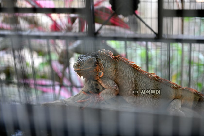 발리나비공원015.JPG