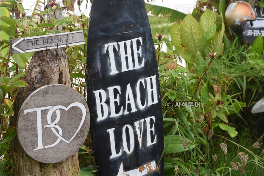 BEACH LOVER001.JPG