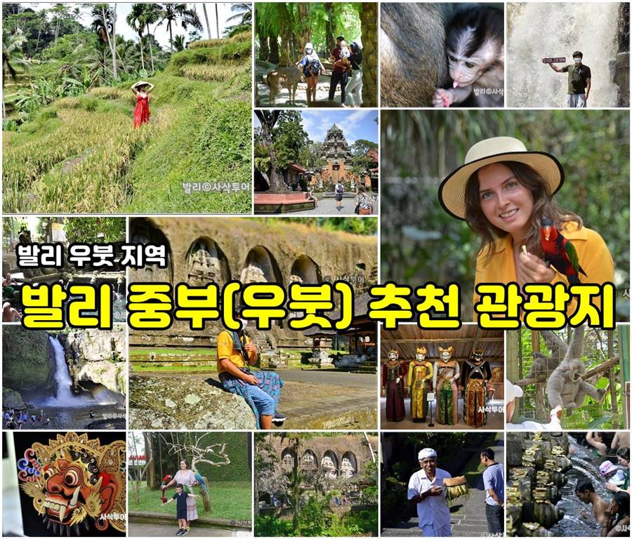 중부111.jpg