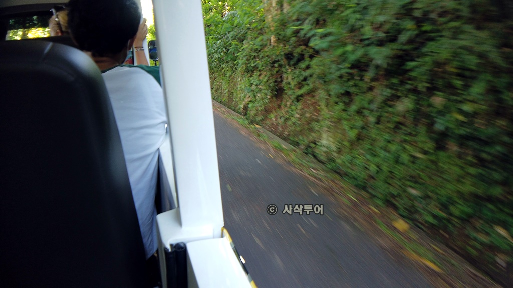 룸푸양DJI_0629.JPG