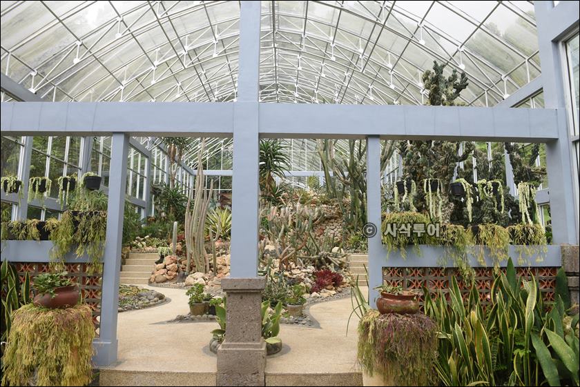 taman raya bedugul016.JPG