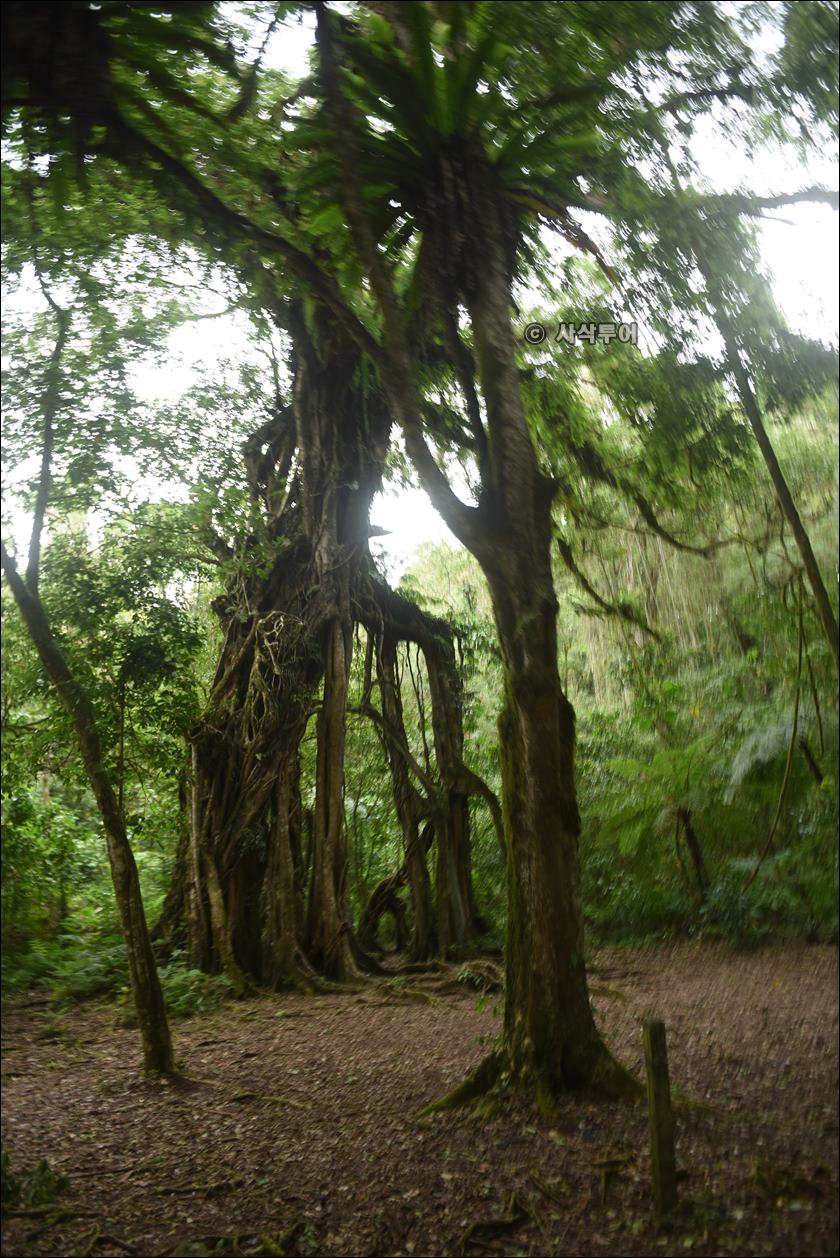 taman raya bedugul024.JPG
