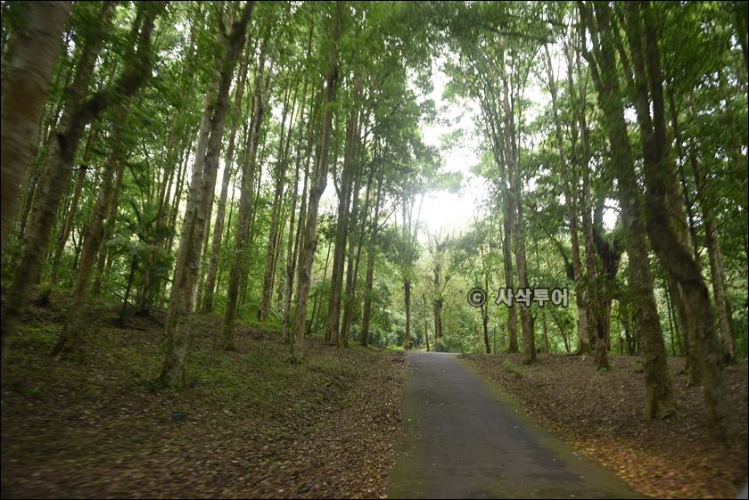 taman raya bedugul023.JPG