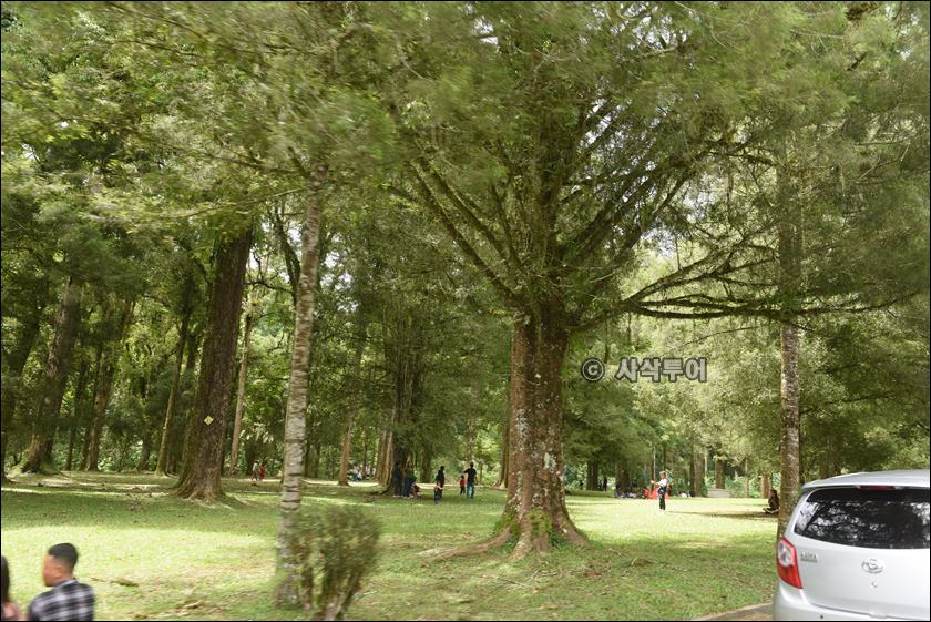 taman raya bedugul008.JPG