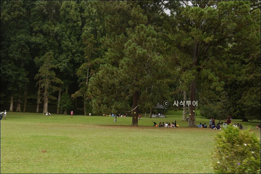 taman raya bedugul012.JPG