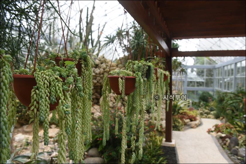taman raya bedugul022.JPG