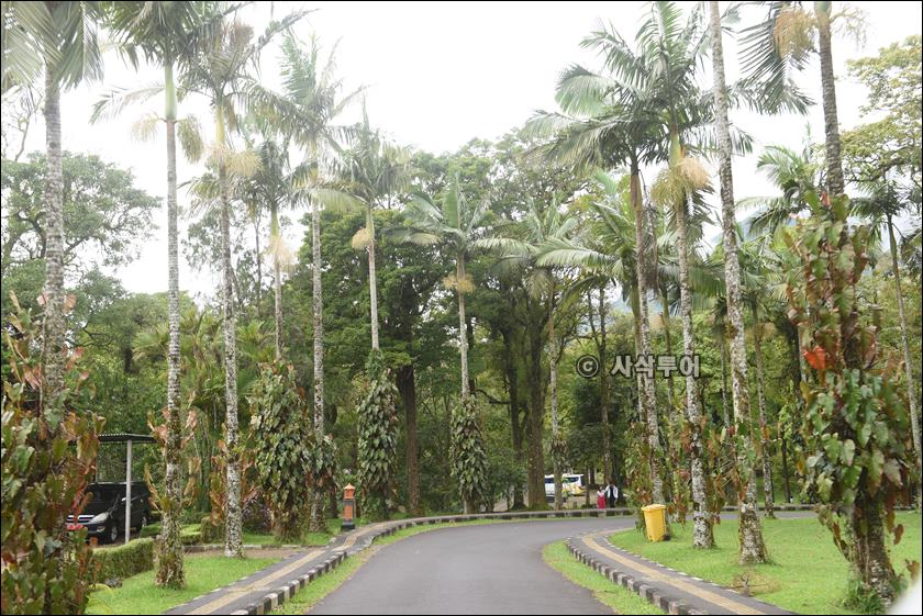 taman raya bedugul037.JPG