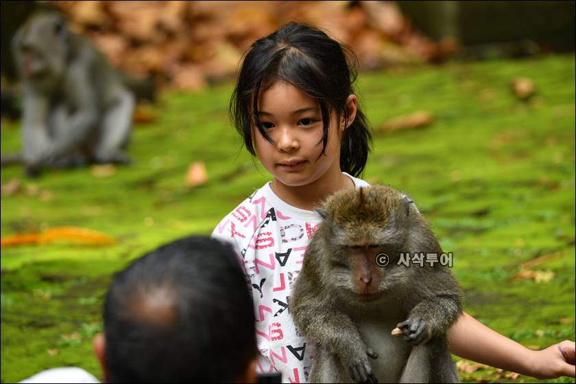 sangeh monyet031.jpg