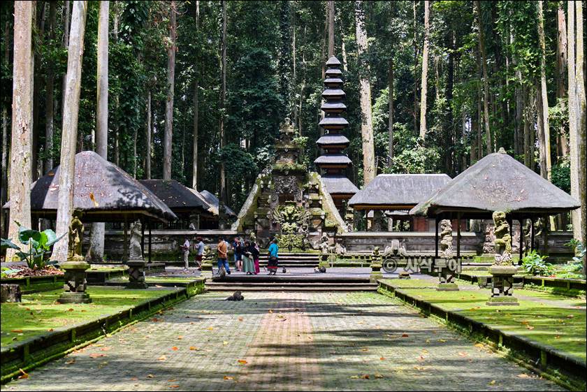 sangeh monyet022.jpg