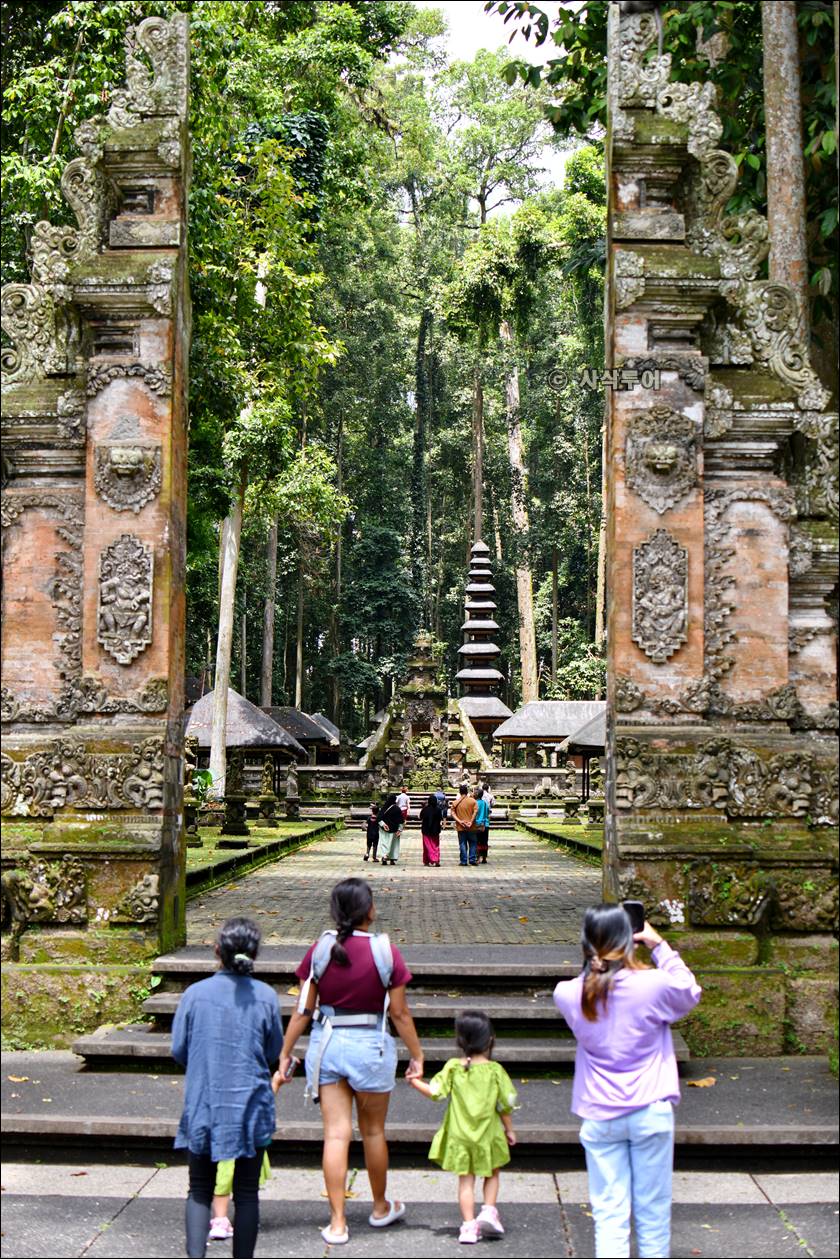 sangeh monyet010.jpg
