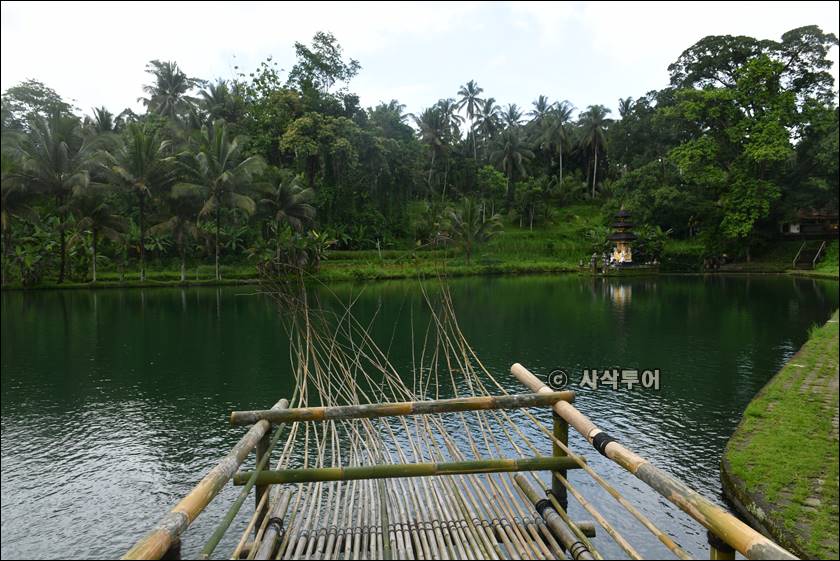 sangeh taman023.jpg