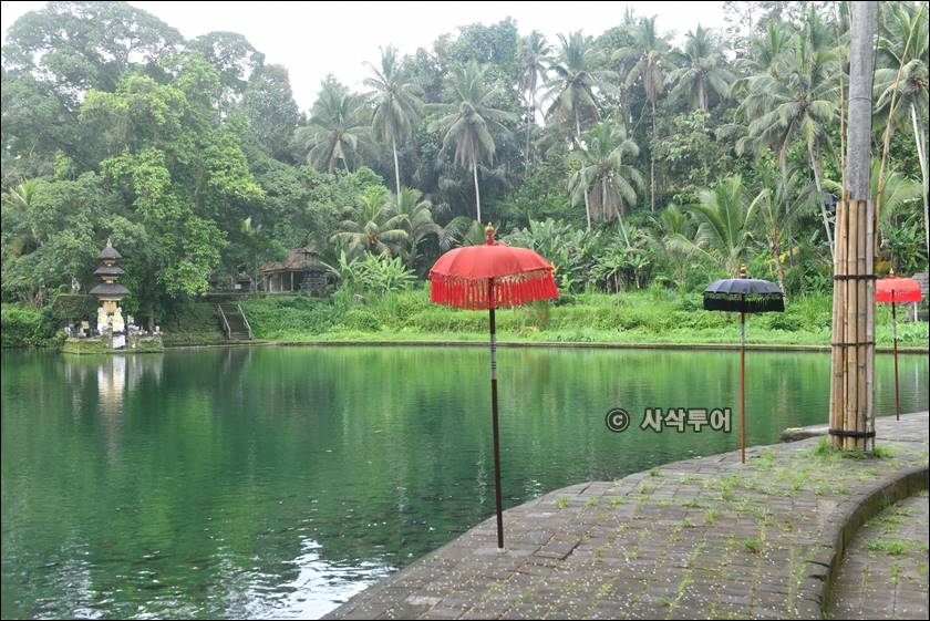 sangeh taman010.jpg