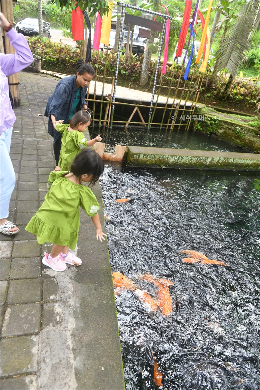 sangeh1 taman018.jpg