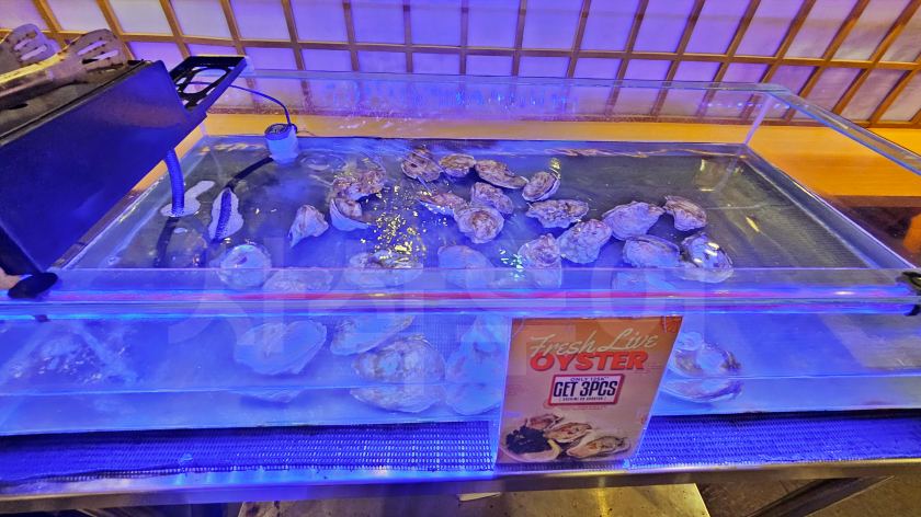 발리 오끼나와 20241128_211300.jpg