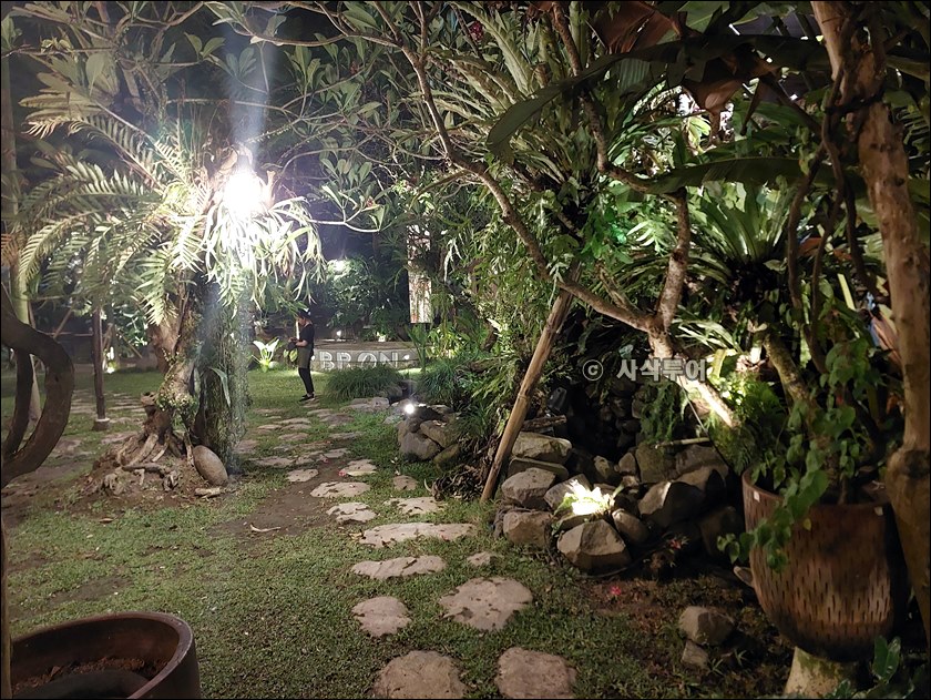 renon018.jpg