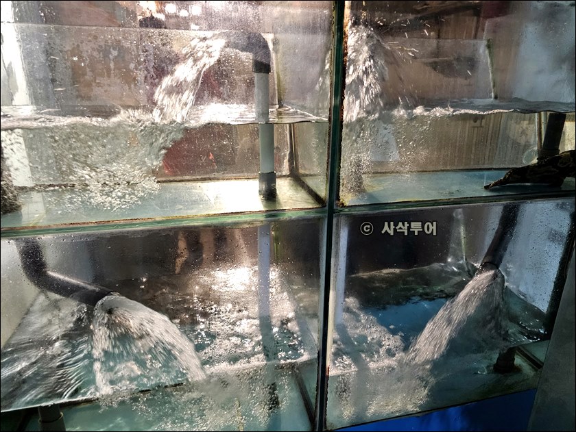리틀홍콩061.jpg