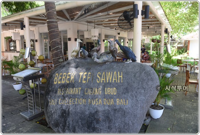 bebek tepi sawah014.JPG