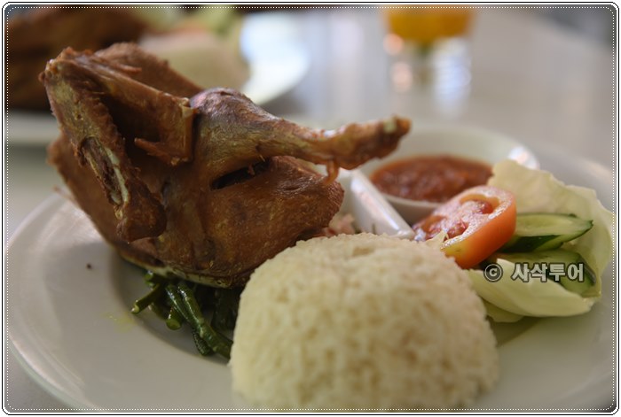 bebek tepi sawah029.JPG