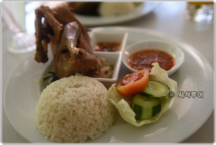 bebek tepi sawah031.JPG
