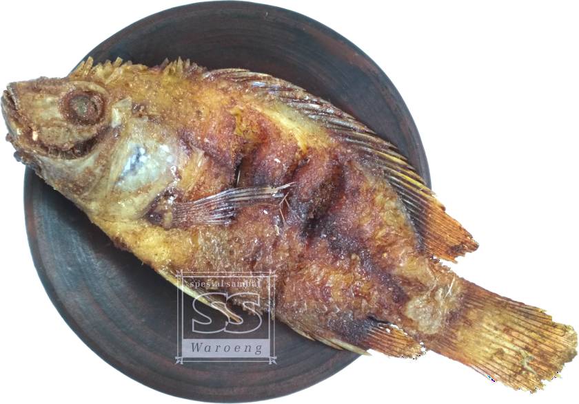 Sambal ssnila goreng 2.jpg