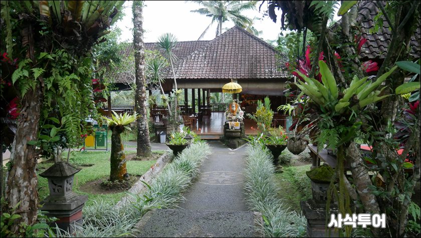 mahagri032.JPG