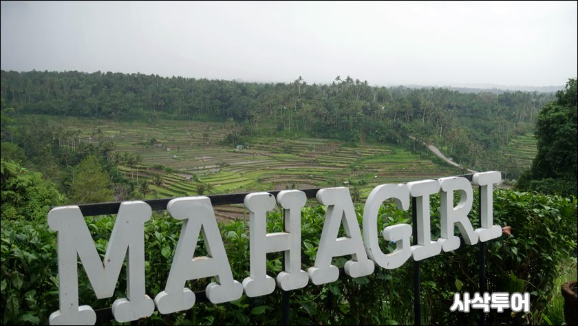 mahagri047.JPG