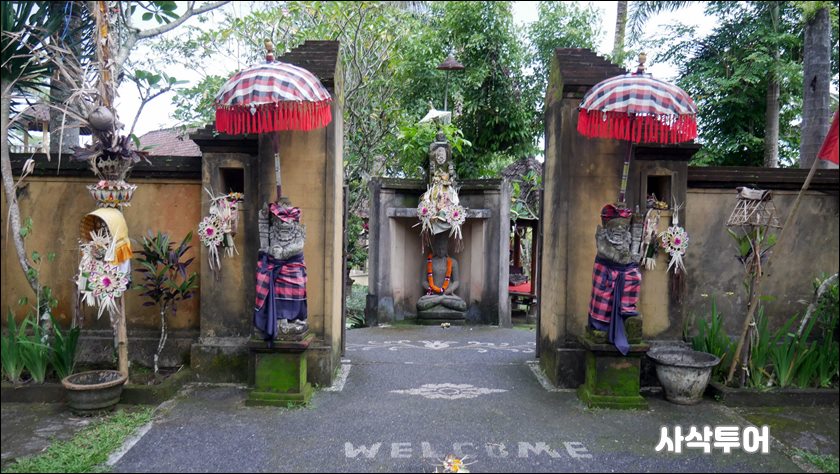mahagri031.JPG