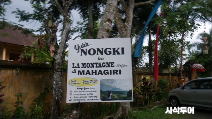 mahagri030.JPG