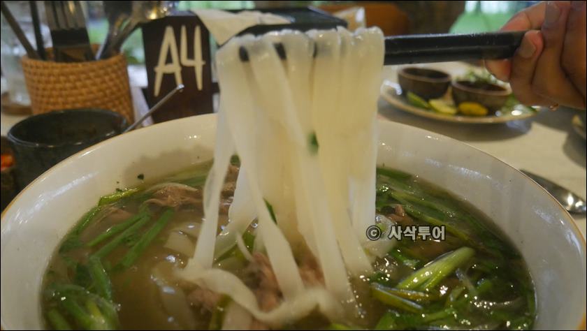 호이안026.JPG