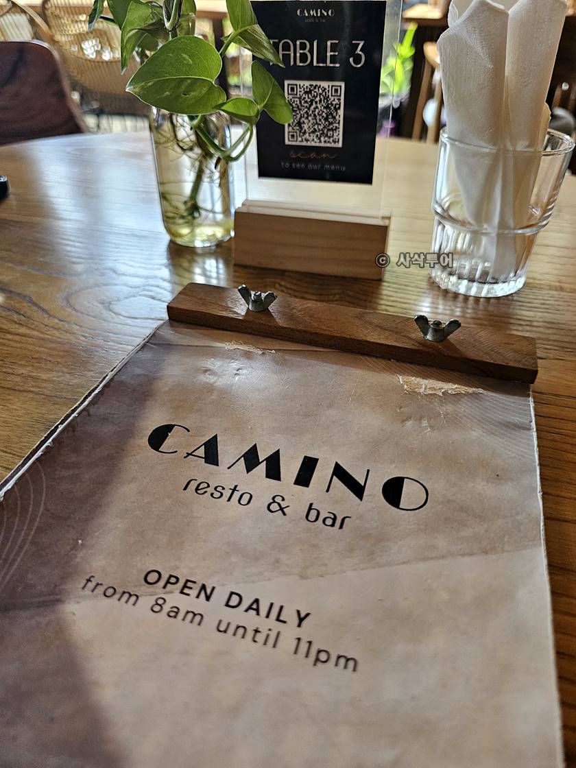 camio003.jpg
