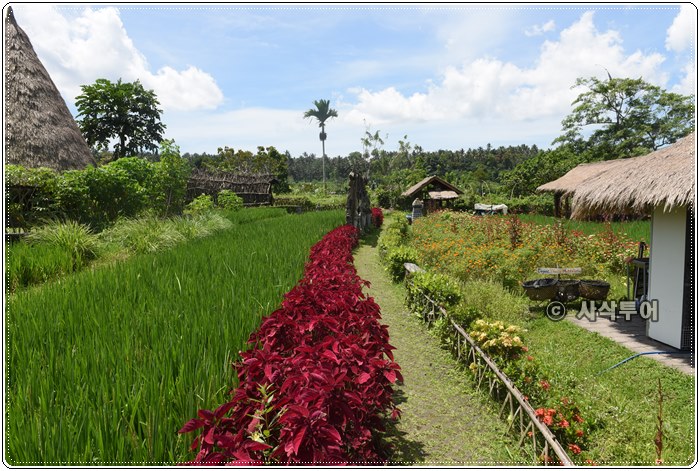 mahagangga resto027.JPG