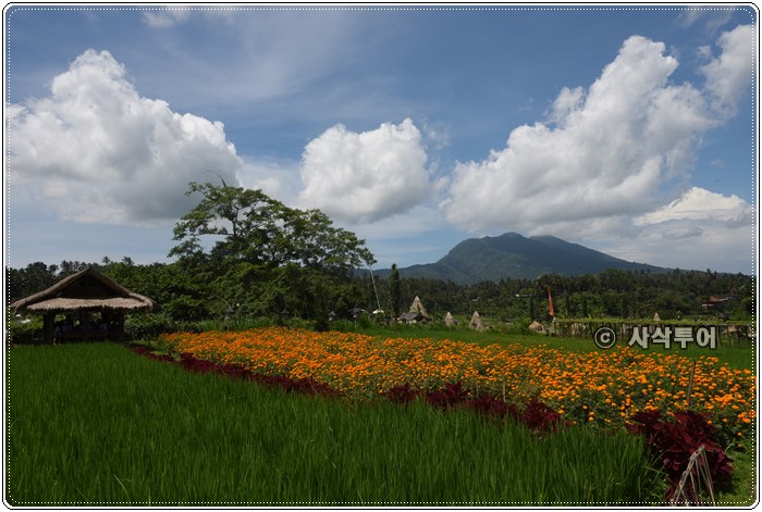 mahagangga resto086.JPG