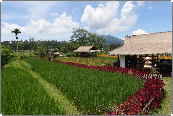 mahagangga resto023.JPG