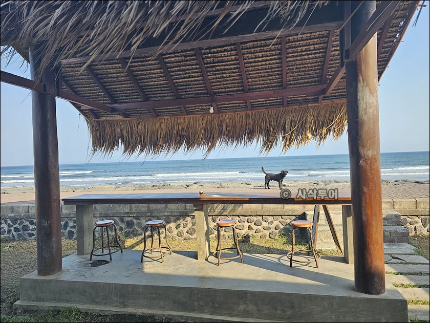 beach break028.jpg