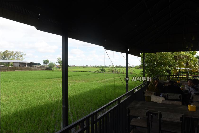 the rice020.JPG