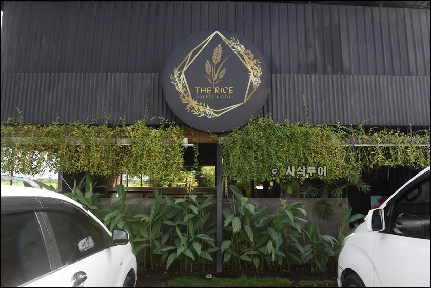 the rice012.JPG