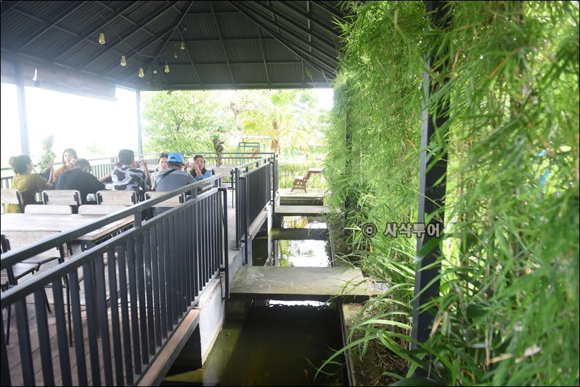 the rice018.JPG