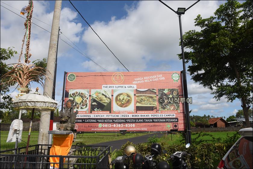 the rice010.JPG
