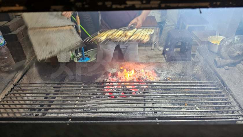 pizzaro20250531_190328.jpg