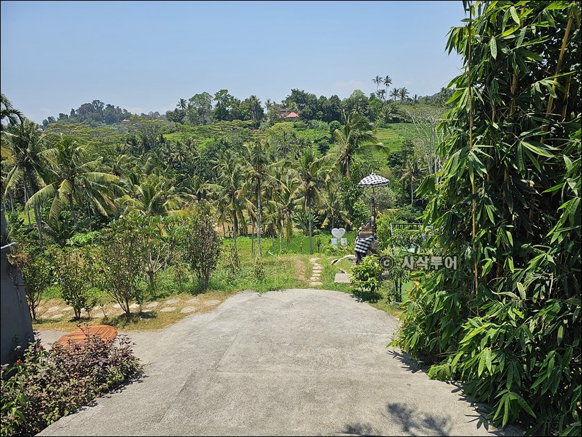 kissidab eco hill007.jpg