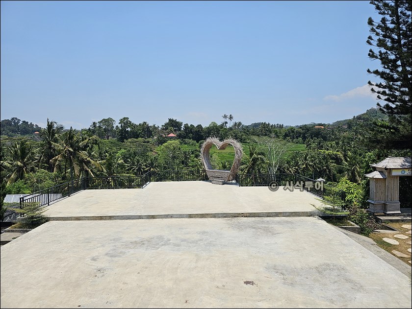 kissidab eco hill005.jpg