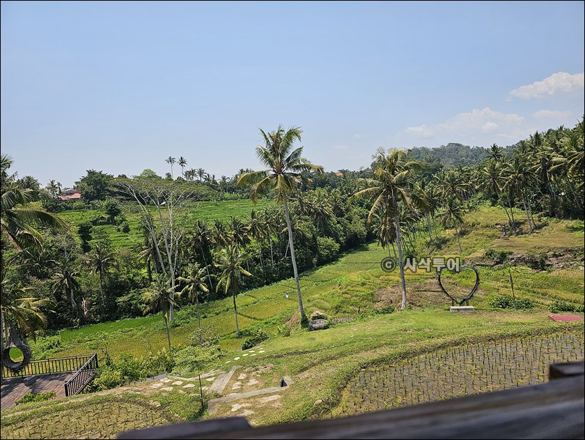 kissidab eco hill026.jpg