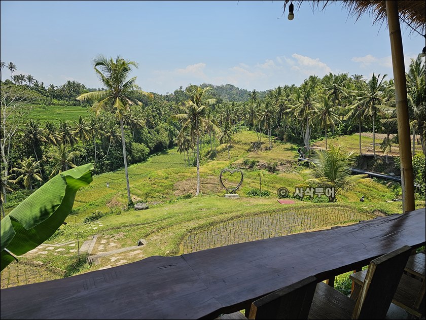 kissidab eco hill012.jpg