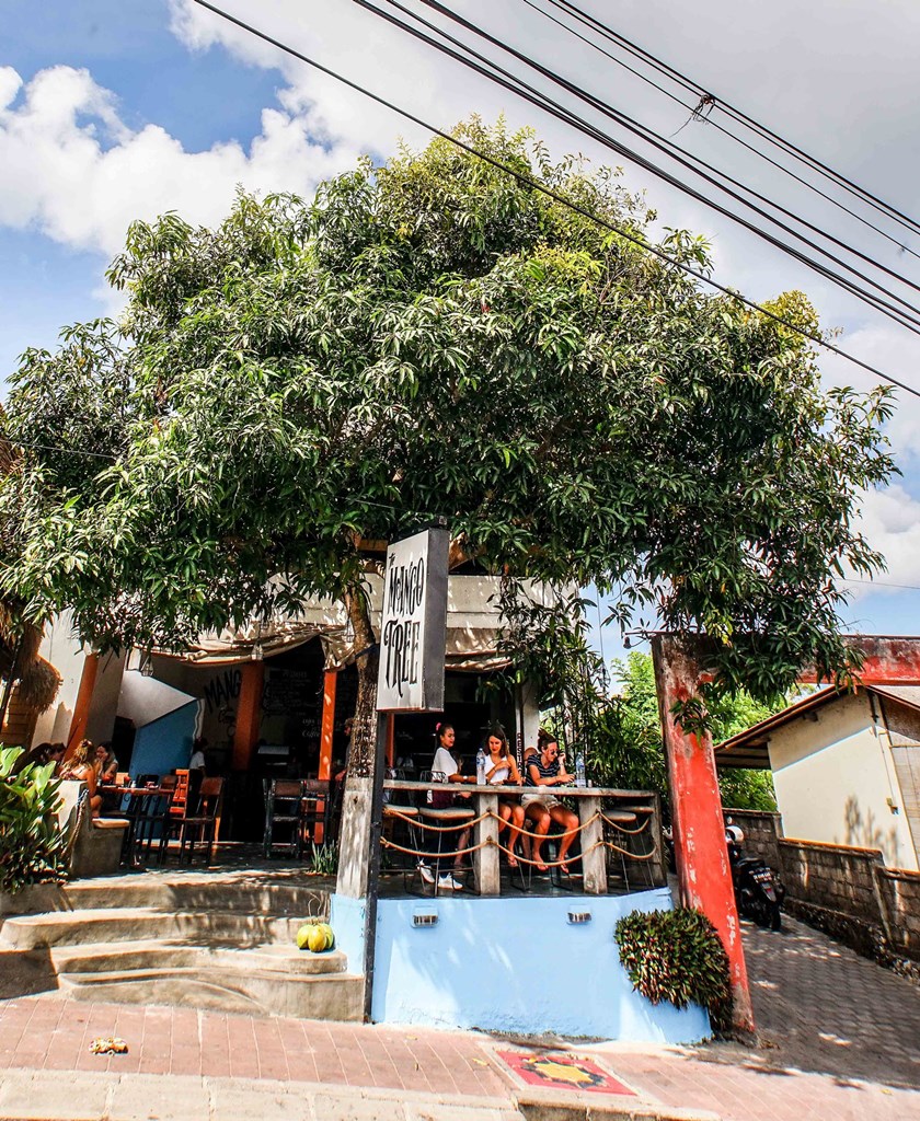 Manggo Tree Cafe78407596_2515978371790470_4169035320123195392_n-20211218-153835.jpg