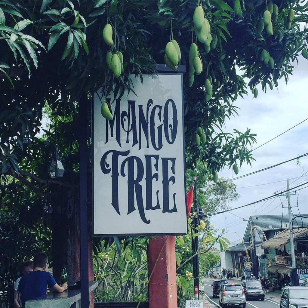 Manggo Tree Cafe37095857_1725295500858765_2705683822858469376_n-20211218-153835.jpg