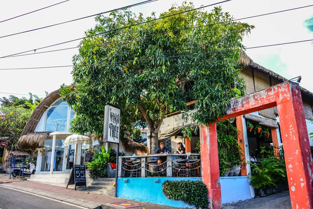 Manggo Tree Cafe84042075_2650069578381348_8115765765820383232_n-20211218-153836.jpg