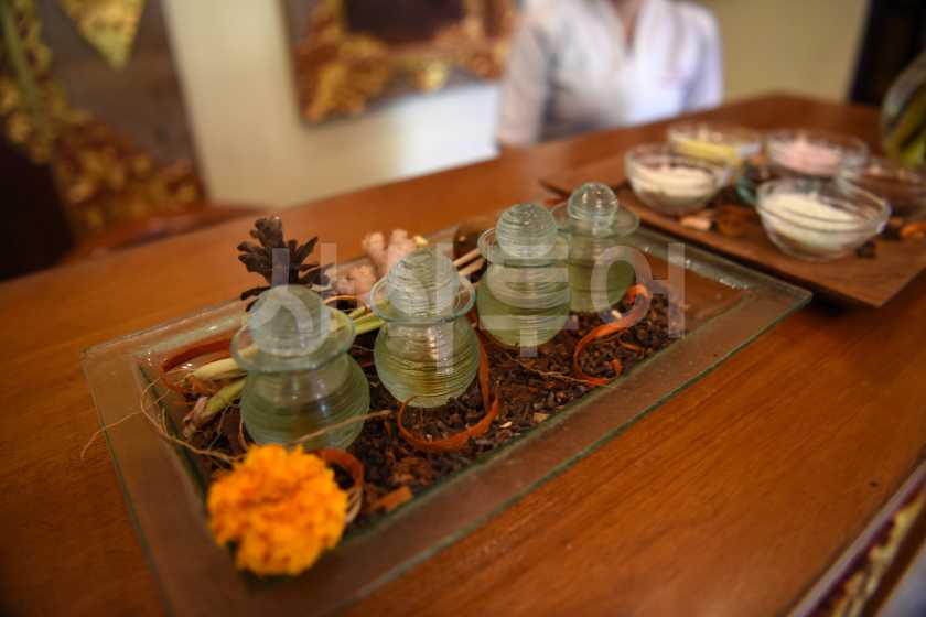 발리 sekar jepun spaDSC_7306.JPG