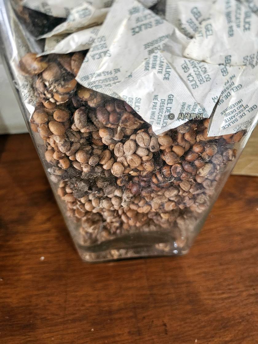 DOMBA COFFEE023.jpg
