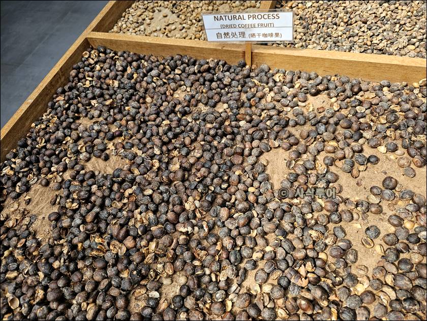 70 KOFFIE022.jpg